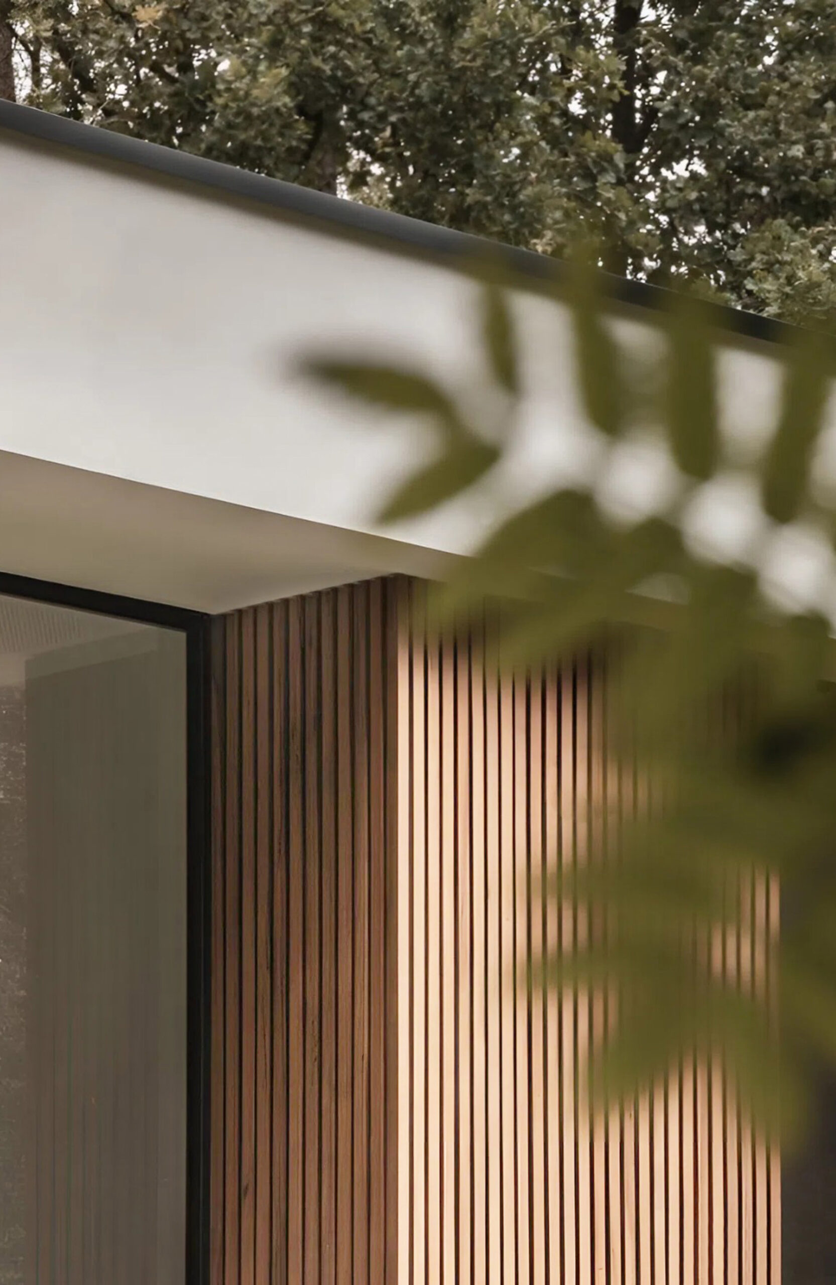 Modern building exterior featuring vertical wooden slats and a glass doorway with blurred greenery in the foreground
