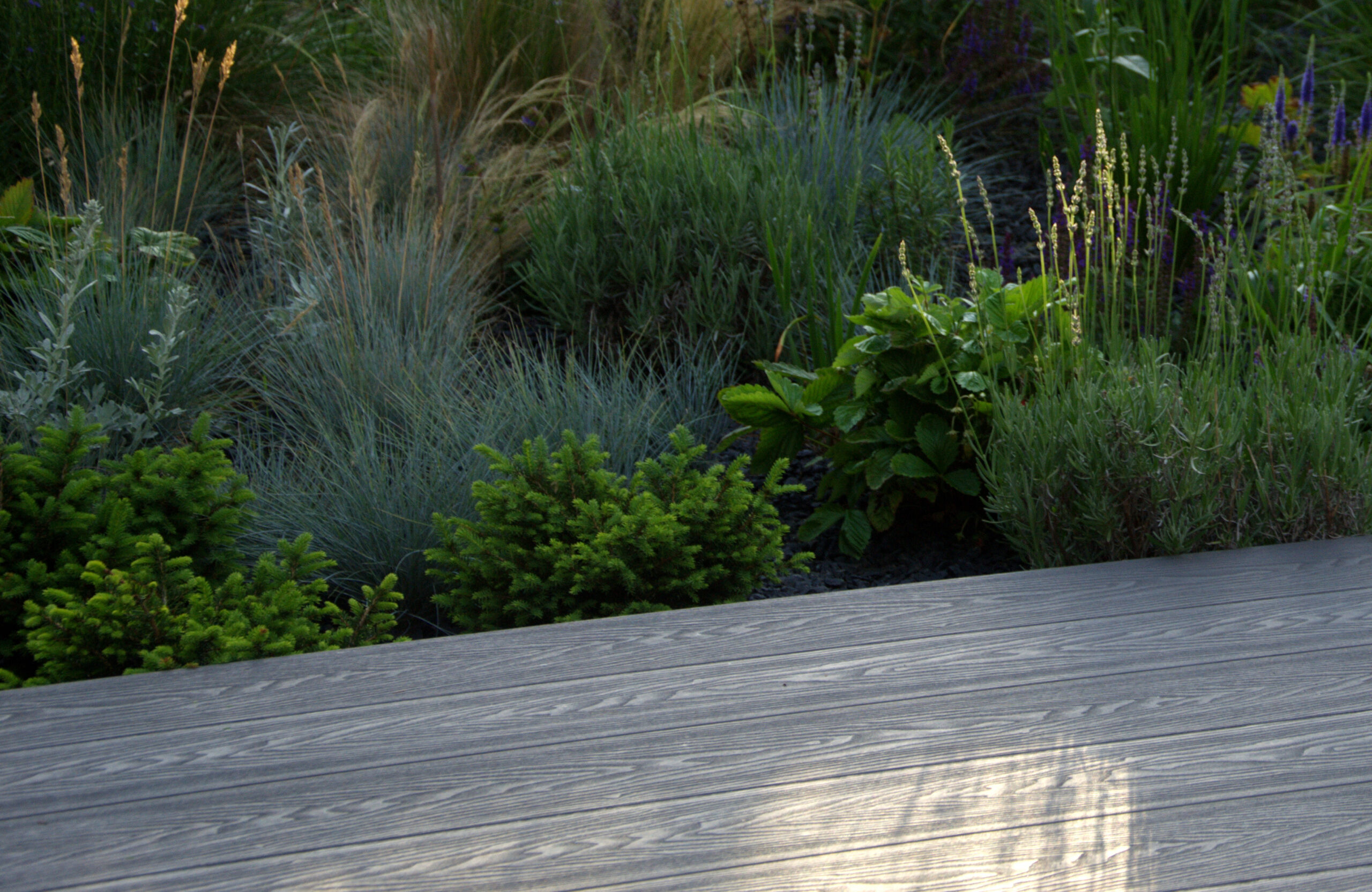 Bruggan Elegant Graphite composite decking surrounded by lush ornamental garden plants