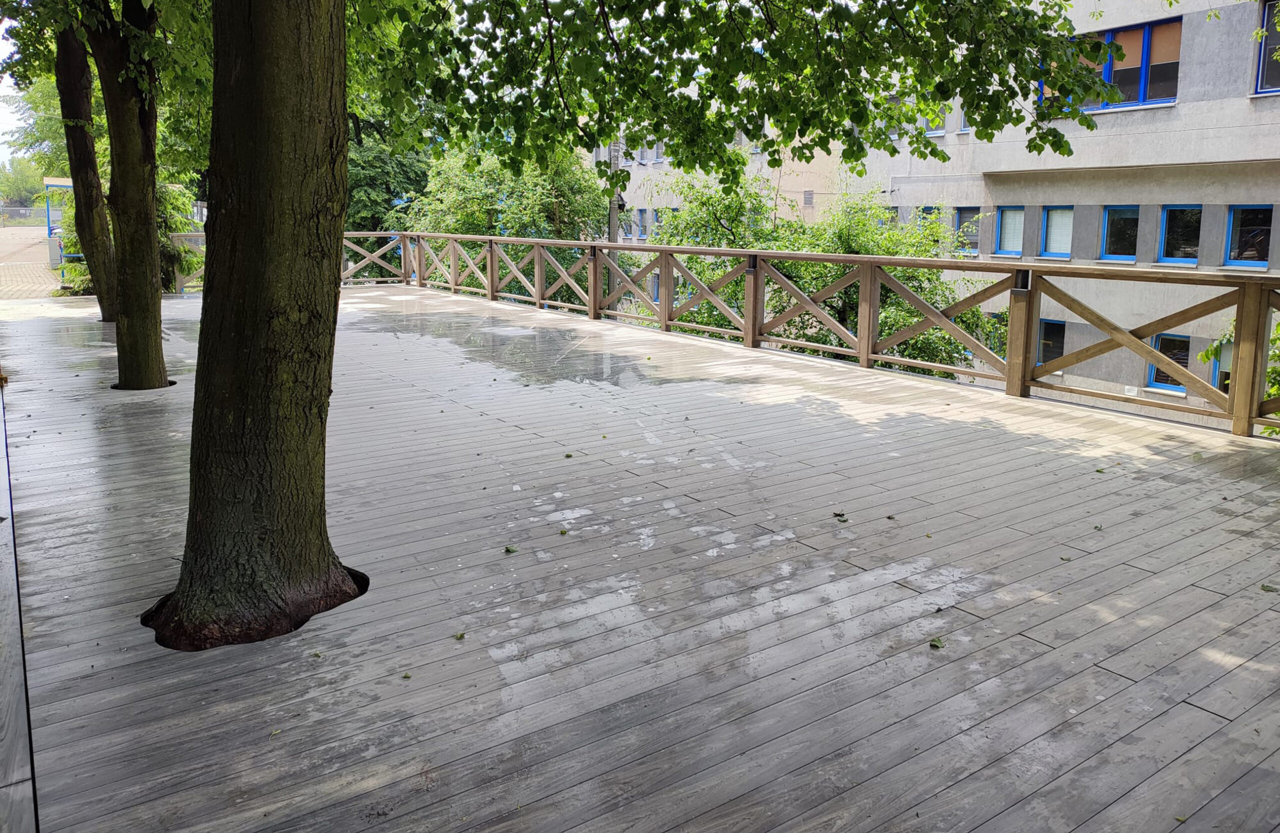 Grey BRUGGAN Multicolor composite decking installed around mature trees on a spacious outdoor