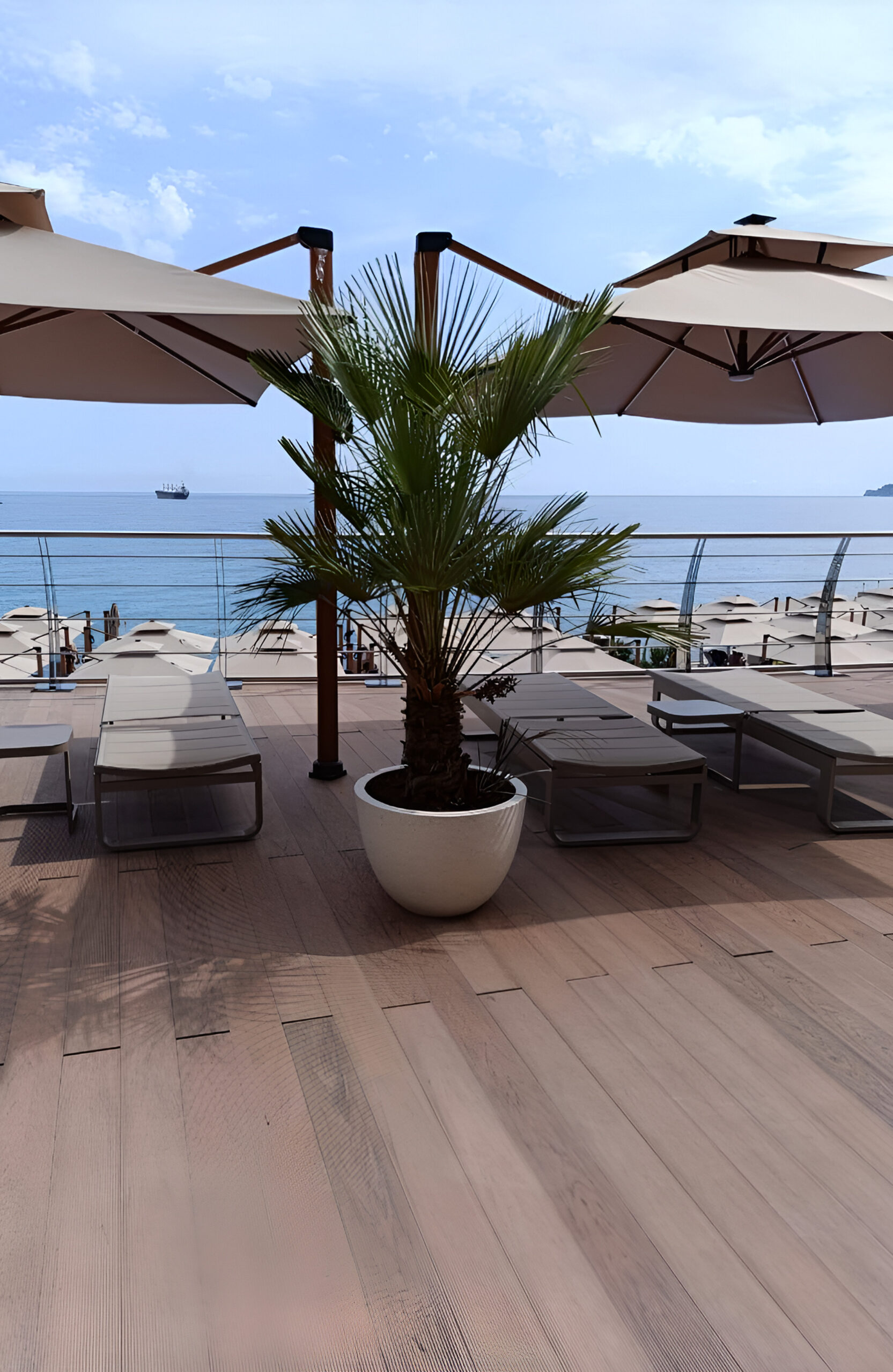 Bruggan Multicolor Cedar composite decking on a seaside terrace with sun loungers and palm trees