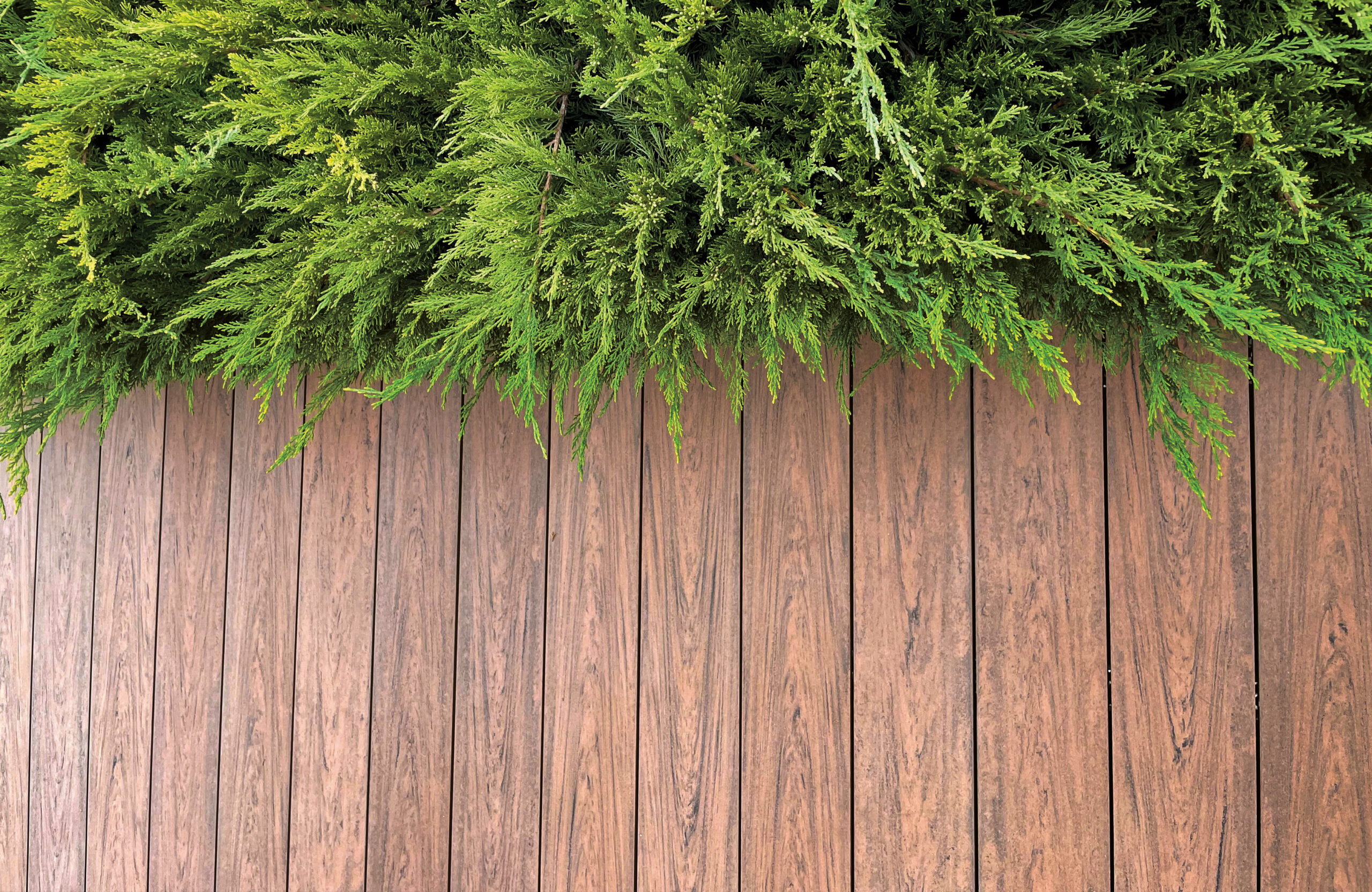 Bruggan Multicolor Cedar composite decking walkway through a landscaped garden