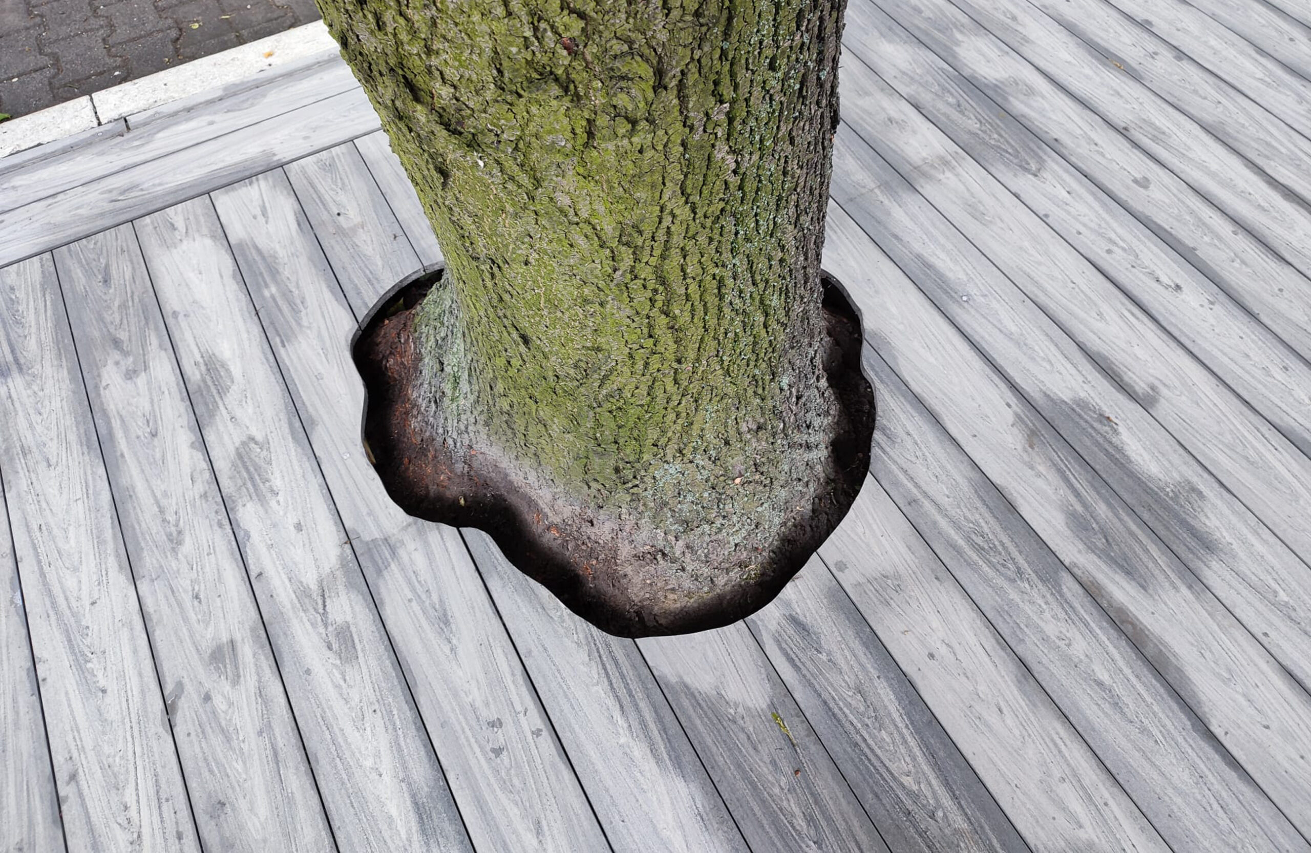 Grey BRUGGAN Multicolor composite decking installed around mature trees on a spacious outdoor