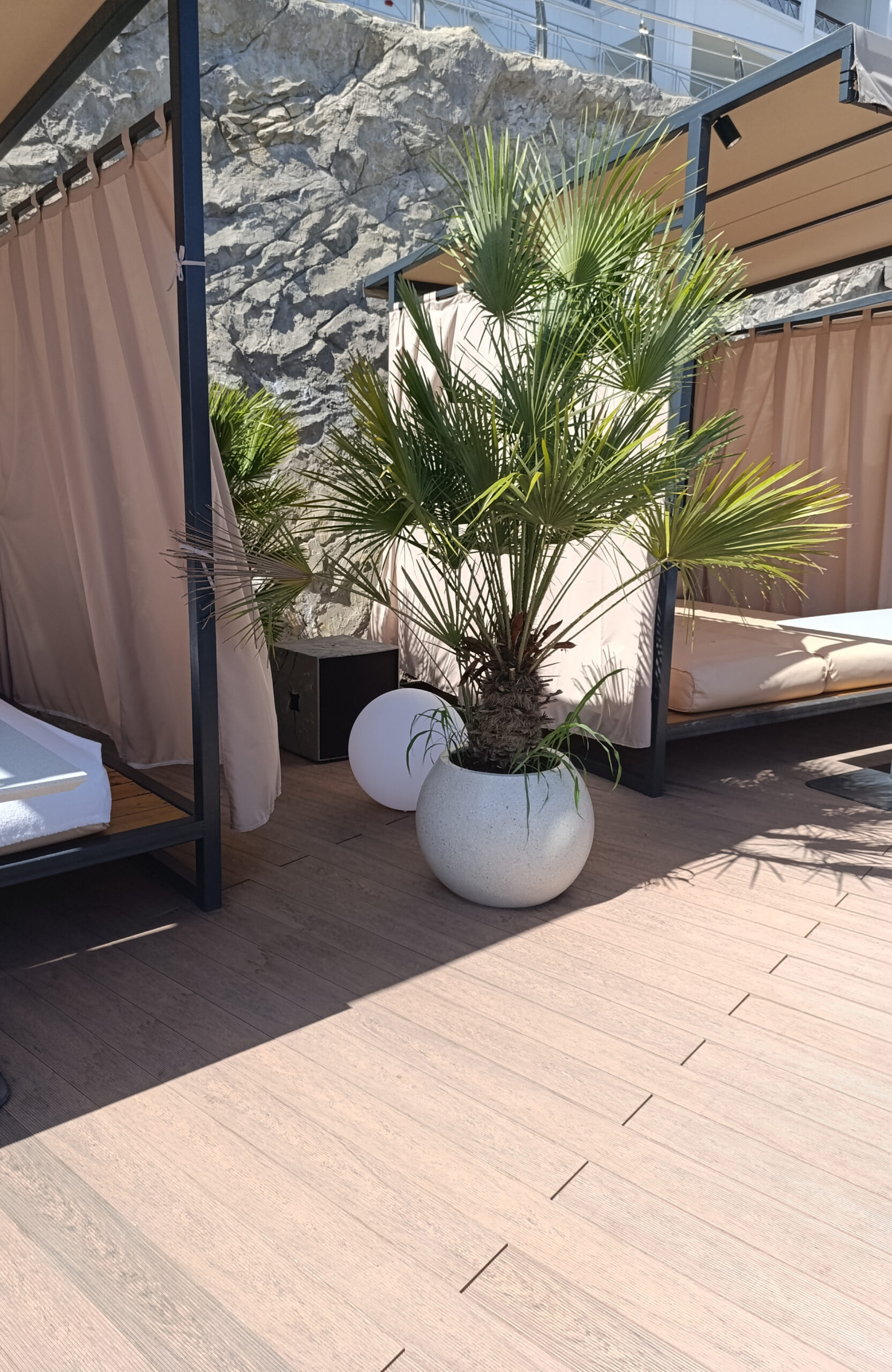 Bruggan Multicolor Cedar composite decking on a seaside terrace with sun loungers and palm trees