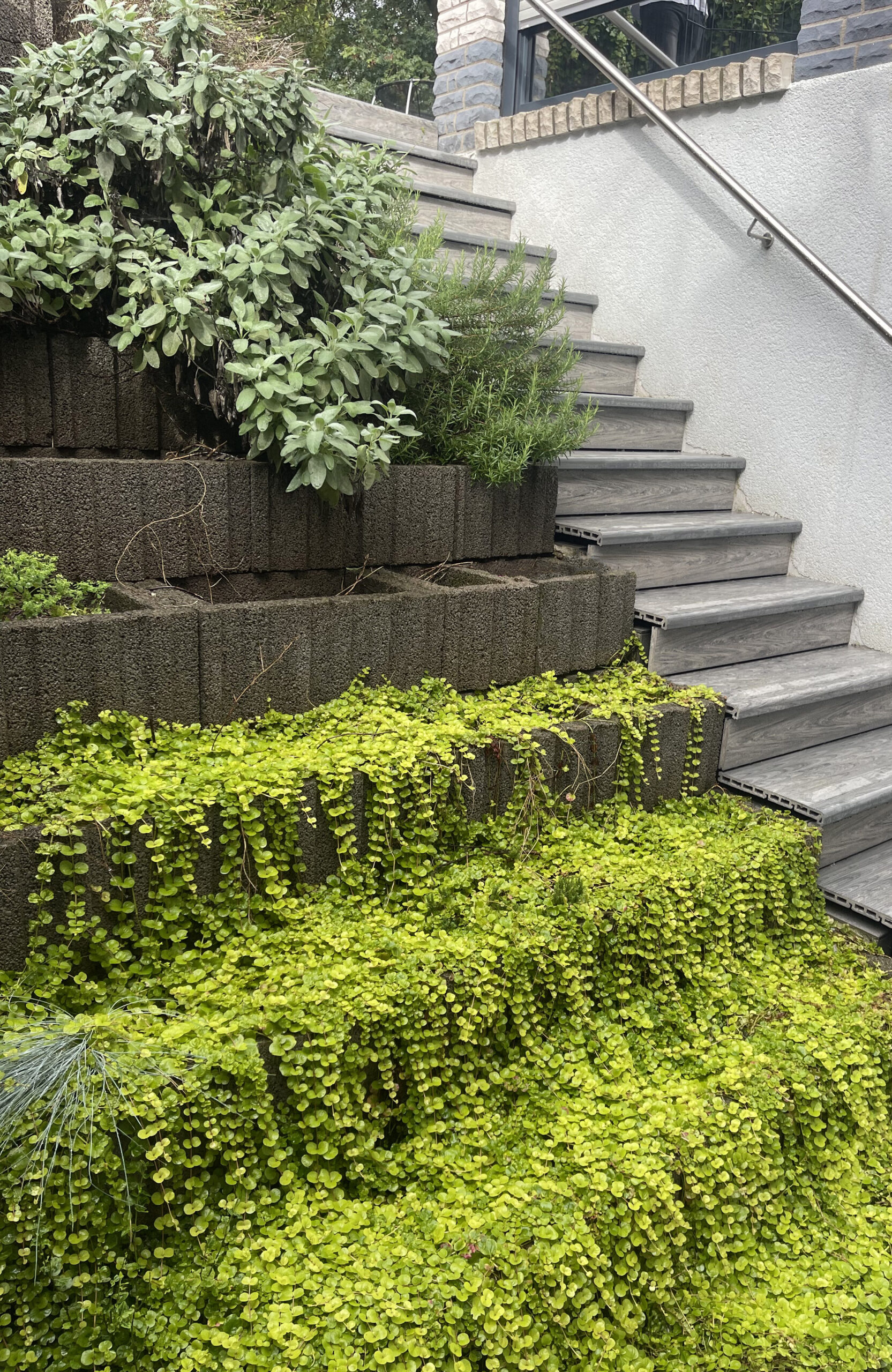 BRUGGAN MultiColor Grey composite decking and stairs in a modern landscaped residential terrace