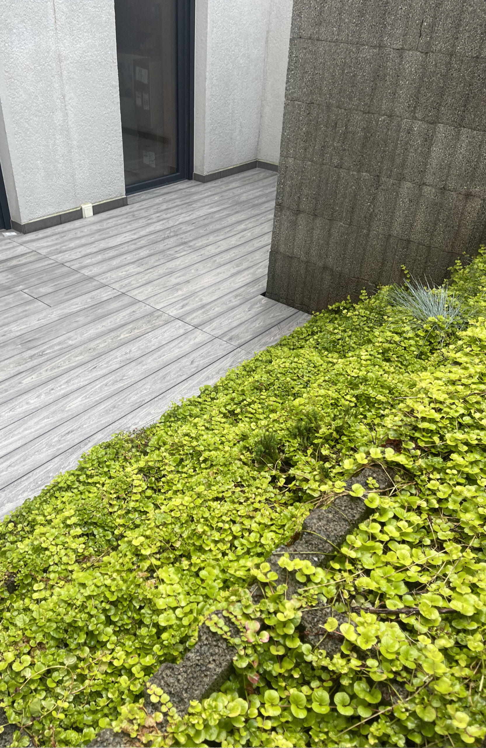 BRUGGAN MultiColor Grey composite decking and stairs in a modern landscaped residential terrace