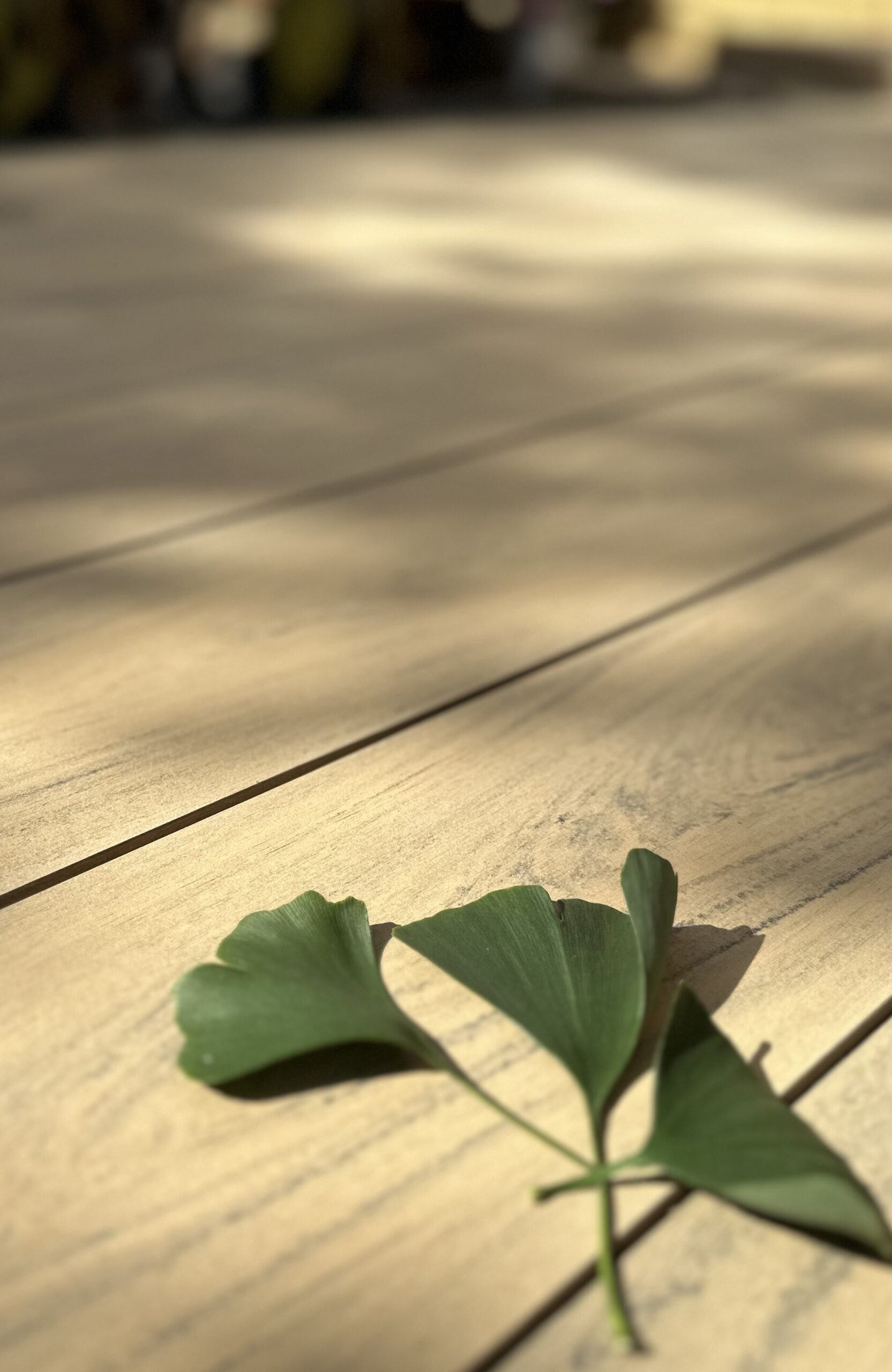 Modern garden terrace finished with BRUGGAN Multicolor composite decking in sand color