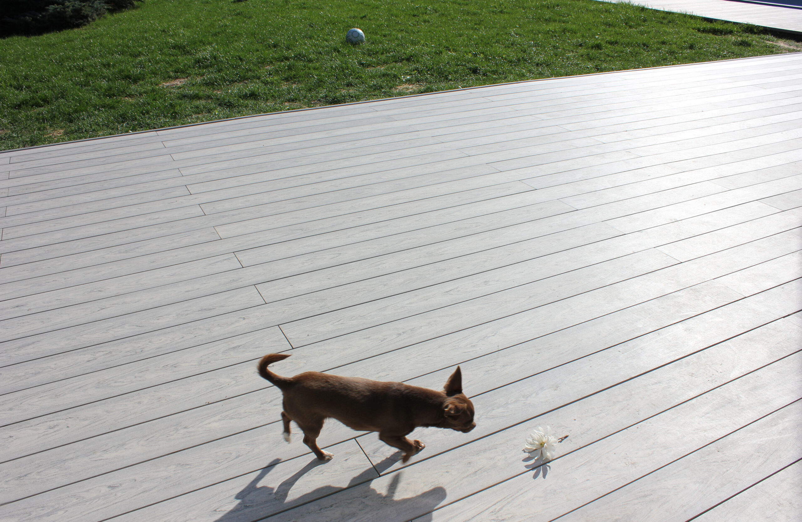 Light wood-effect BRUGGAN decking used for a spacious terrace and pool surround