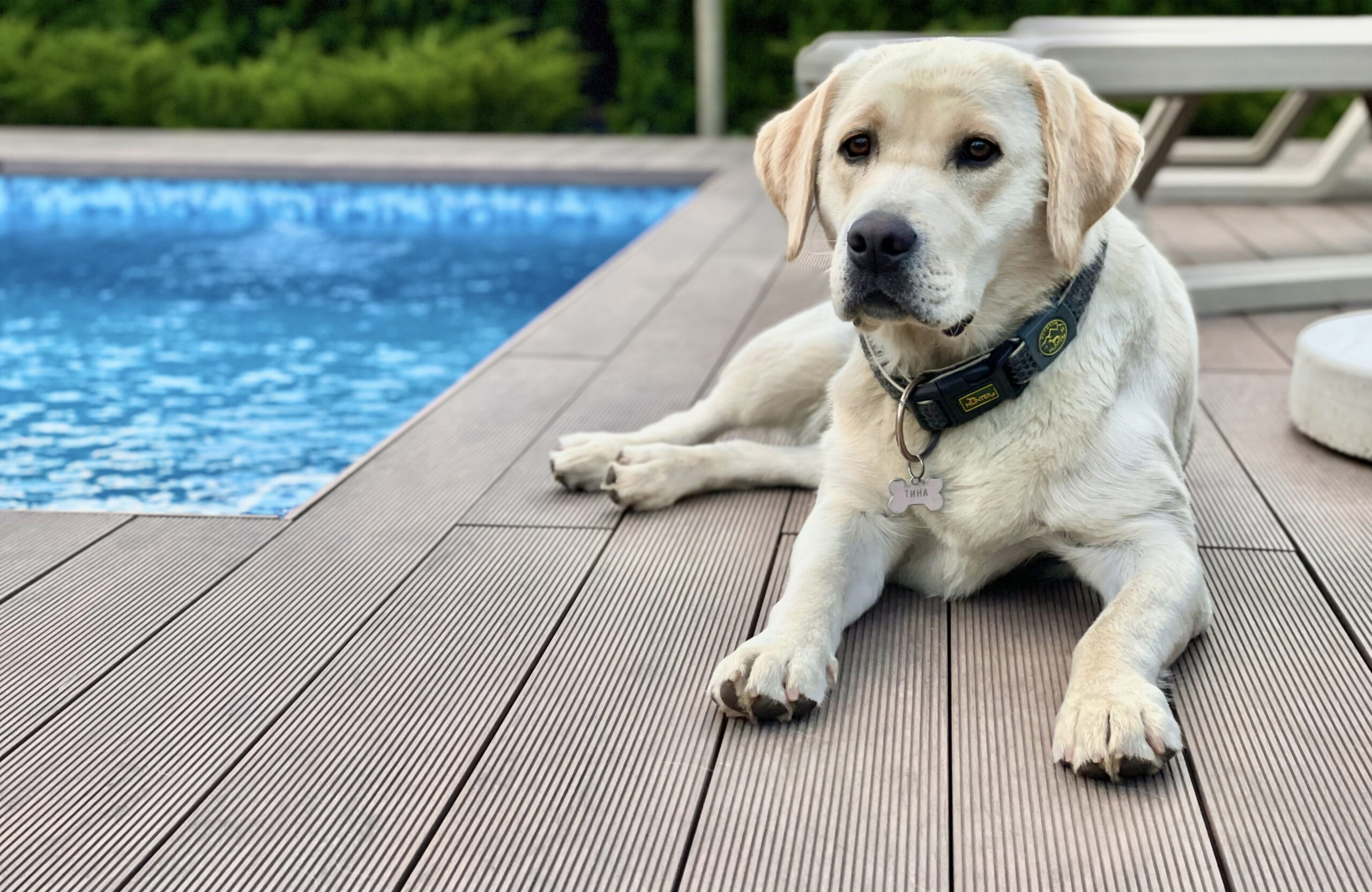 Poolside terrace with BRUGGAN Multicolor Wenge composite decking